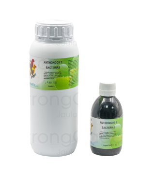 Antifungicos / Hongos / Bactericida