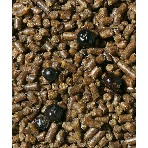 Orlux Remiline 1 kg Insectivorous and frugivorous food