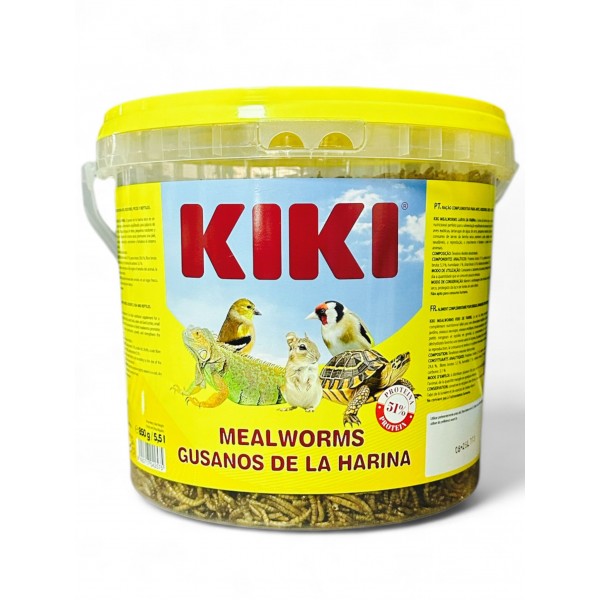 Gusanos de la harina KIKI (Rico en proteínas y vitaminas para sus aves) Complementos proteicos