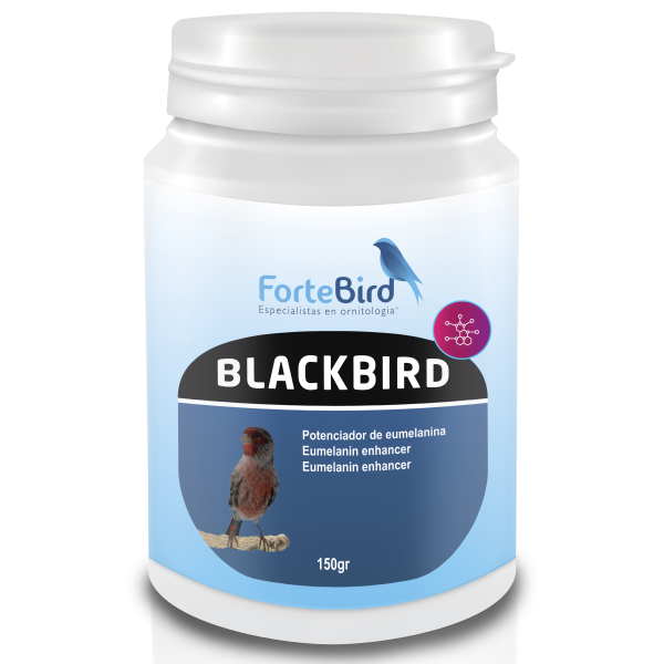 BlackBird | Potenciador de eumelaninas (Oxidación canarios negros) Potenciadores