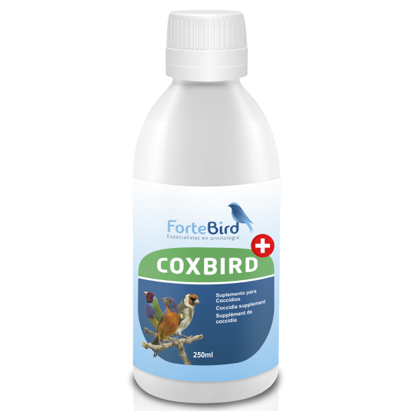 CoxBird liquido | Suplemento para coccidios Antiinfecciosos