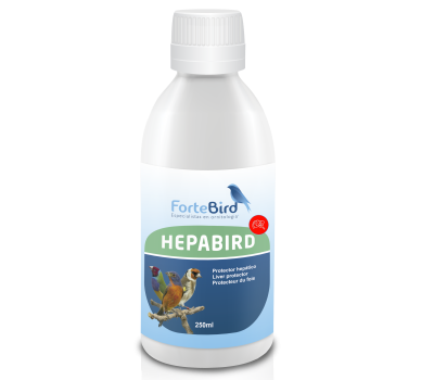 HepaBird | Protector hepático