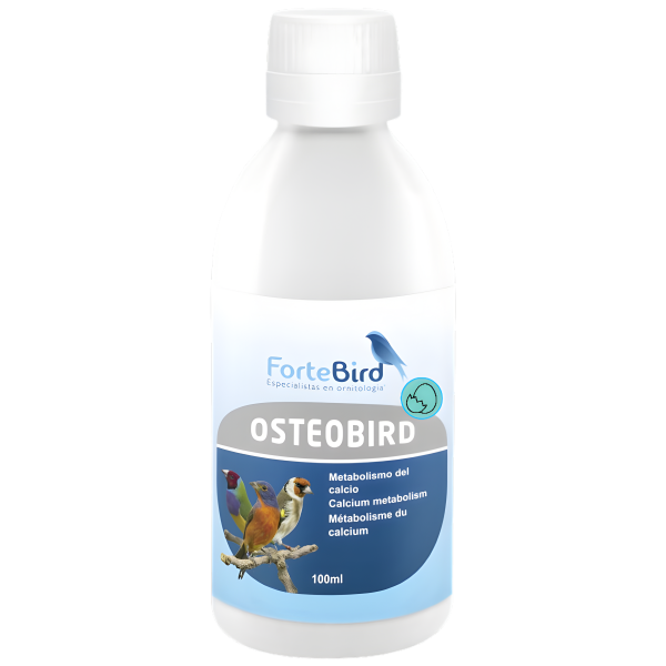 OsteoBird | Metabolismo del calcio