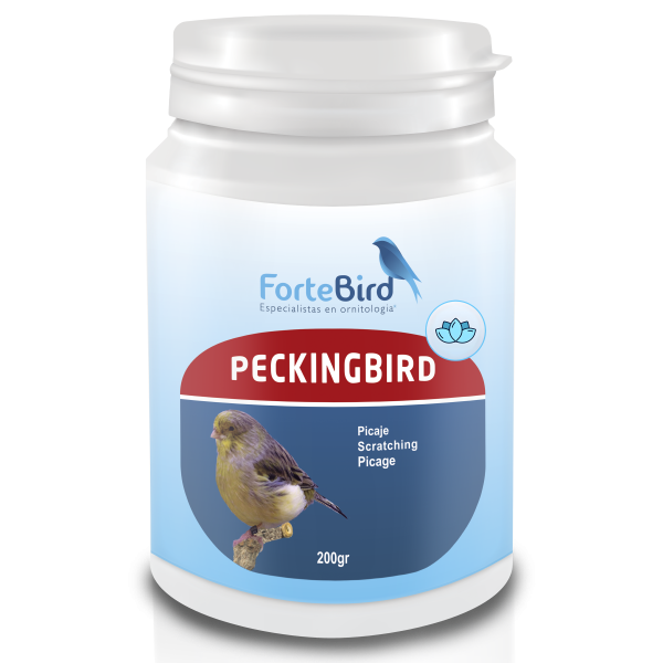 PeckingBird | Picaje