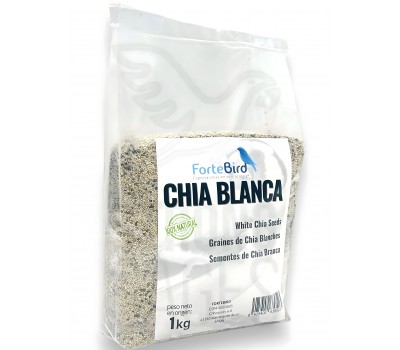 Chia Blanca Fortebird