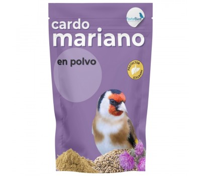 Cardo Mariano | Mejora Hepática y Digestiva para Canarios y Jilgueros