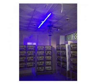 220V LED STRIP BLUE LIGHT EFFECT MOON NIGHT WITH CONNECTION